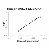 Human CCL21/6Ckine ELISA Kit EZ-Set™ (DIY Antibody Pairs) Boster Bio