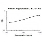 Human Angiopoietin-2 ELISA Kit EZ-Set™ (DIY Antibody Pairs) Boster Bio