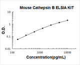 Mouse Cathepsin B ELISA Kit PicoKine® Boster Bio