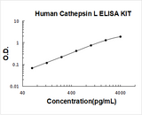 Human Cathepsin L ELISA Kit PicoKine® Boster Bio