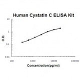 Human Cystatin C ELISA Kit EZ-Set™ (DIY Antibody Pairs) Boster Bio