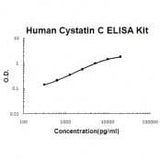 Human Cystatin C ELISA Kit EZ-Set™ (DIY Antibody Pairs) Boster Bio