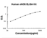 Human eNOS/NOS3 ELISA Kit PicoKine® Boster Bio