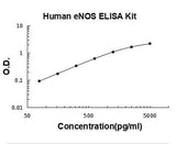Human eNOS/NOS3 ELISA Kit PicoKine® Boster Bio