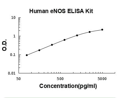Human eNOS/NOS3 ELISA Kit PicoKine® Boster Bio
