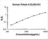Human Fetuin A/AHSG ELISA Kit PicoKine® Boster Bio