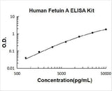 Human Fetuin A/AHSG ELISA Kit PicoKine® Boster Bio