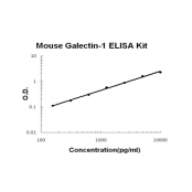 Mouse Galectin-1 ELISA Kit EZ-Set™ (DIY Antibody Pairs) Boster Bio