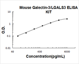 Mouse Galectin-3/LGALS3 ELISA Kit PicoKine® Boster Bio