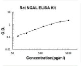 Rat Lipocalin-2/NGAL ELISA Kit PicoKine® Boster Bio