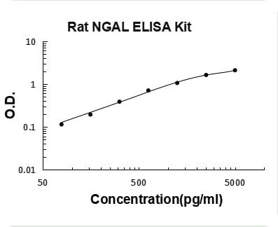 Rat Lipocalin-2/NGAL ELISA Kit PicoKine® Boster Bio