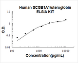 Human SCGB1A1/uteroglobin ELISA Kit PicoKine® Boster Bio