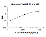 Human ADAM12 / MCMP ELISA Kit PicoKine® Boster Bio
