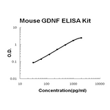 Mouse GDNF PicoKine® Quick ELISA Kit Boster Bio