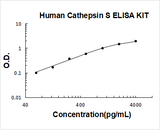 Human Cathepsin S / CTSS ELISA Kit PicoKine® Boster Bio