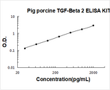 Pig porcine TGF-Beta 2 ELISA Kit PicoKine® Boster Bio