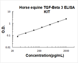 Horse equine TGF-Beta 3 ELISA Kit PicoKine® Boster Bio