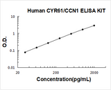 Human CYR61/CCN1 ELISA Kit PicoKine® Boster Bio