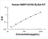 Human WISP1/CCN4 ELISA Kit PicoKine® Boster Bio