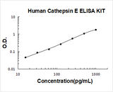 Human Cathepsin E ELISA Kit PicoKine® Boster Bio