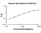 Human VE-Cadherin CDH5 ELISA Kit PicoKine® Boster Bio