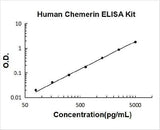 Human Chemerin/RARRES2 ELISA Kit PicoKine® Boster Bio