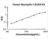 Human Neuropilin-1 ELISA Kit PicoKine® Boster Bio
