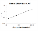 Human SFRP5/Sarp3 ELISA Kit PicoKine® Boster Bio