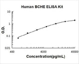 Human BCHE/Butyrylcholinesterase ELISA Kit PicoKine® Boster Bio