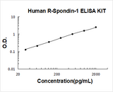 Human R-Spondin-1 ELISA Kit PicoKine® Boster Bio