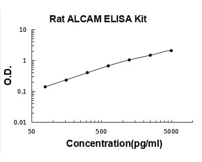 Rat ALCAM/CD166 ELISA Kit PicoKine® Boster Bio