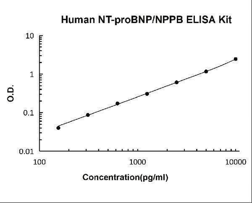 Human NT-proBNP/NPPB ELISA Kit PicoKine® Boster Bio