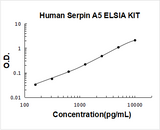 Human Serpin A5/PAI3 ELISA Kit PicoKine® Boster Bio