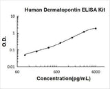 Human Dermatopontin/DPT ELISA Kit PicoKine® Boster Bio