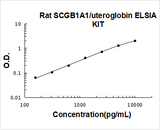 Rat SCGB1A1/uteroglobin ELISA Kit PicoKine® Boster Bio