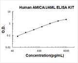 Human AMICA/JAML ELISA Kit PicoKine® Boster Bio