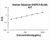Human Glypican-5/GPC5 ELISA Kit PicoKine® Boster Bio