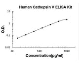 Human Cathepsin V/CTSV ELISA Kit PicoKine® Boster Bio