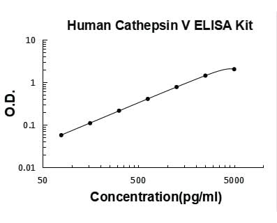 Human Cathepsin V/CTSV ELISA Kit PicoKine® Boster Bio