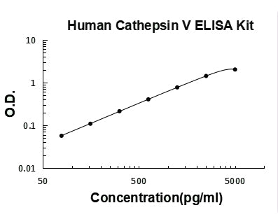 Human Cathepsin V/CTSV ELISA Kit PicoKine® Boster Bio