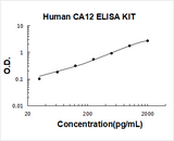 Human CA12/Carbonic anhydrase 12 ELISA Kit PicoKine® Boster Bio