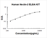 Human Nectin-2/CD112 ELISA Kit PicoKine® Boster Bio