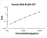 Human ZAG/AZGP1 ELISA Kit PicoKine® Boster Bio