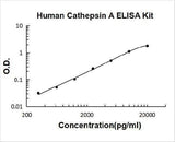 Human Cathepsin A ELISA Kit PicoKine® Boster Bio