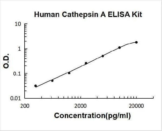 Human Cathepsin A ELISA Kit PicoKine® Boster Bio