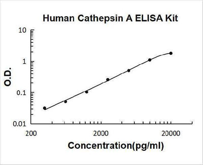 Human Cathepsin A ELISA Kit PicoKine® Boster Bio