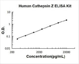 Human Cathepsin Z ELISA Kit PicoKine® Boster Bio