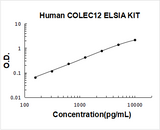 Human COLEC12 ELISA Kit PicoKine® Boster Bio
