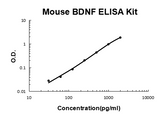 Mouse BDNF ELISA Kit EZ-Set™ (DIY Antibody Pairs) Boster Bio
