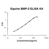 Horse equine BMP-2 EZ-Set™ ELISA Kit (DIY Antibody Pairs) Boster Bio